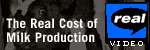The Real Cost of Milk Production